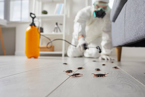 Commercial Kitchen Cockroach Control in Fairhope